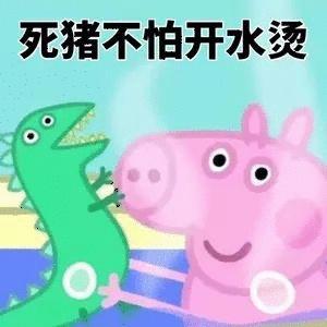 冷水烫猪是什么意思?详解成语冷水烫猪的含义