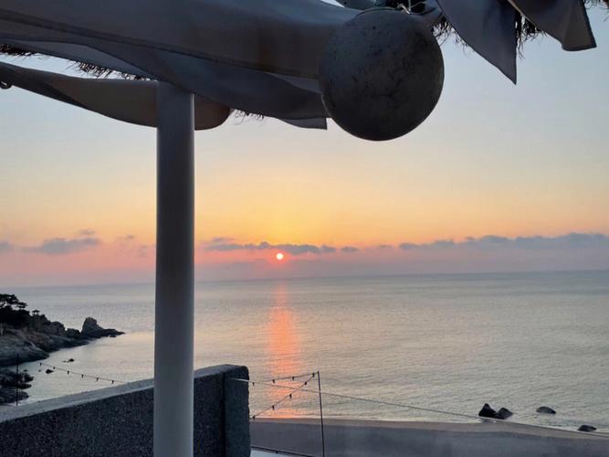 日光月美论坛:从入门到精通,多肉种植技巧全攻略