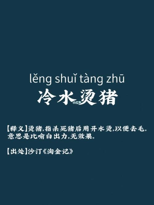 冷水烫猪是什么意思?详解成语冷水烫猪的含义