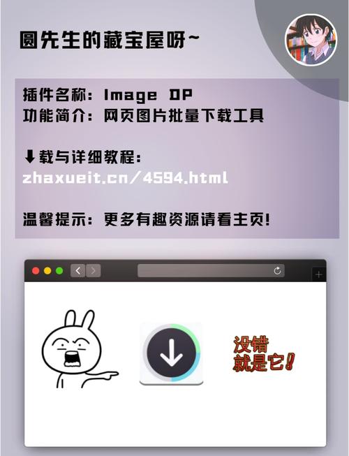 IE Tab插件使用指南:快速上手,告别网页兼容问题