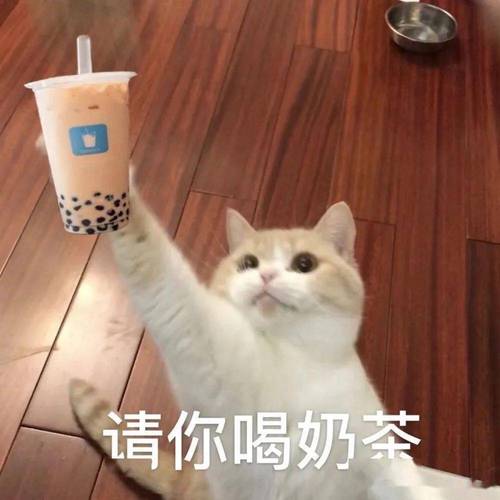 奶茶表情包火了!超全合集分享,让你笑到肚子疼