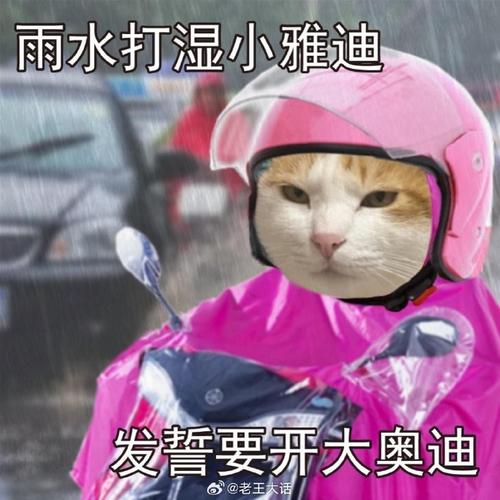 微信表情雨大全：各种表情掉落技巧，聊天更有趣！