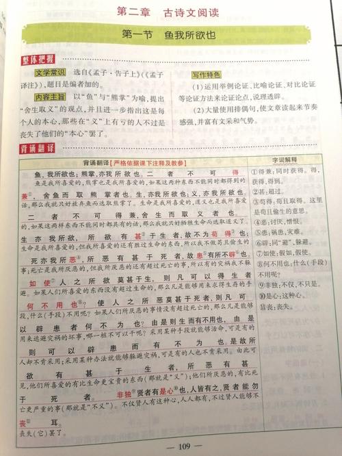 九言下载地址分享：海量写真，快速下载，无需等待！