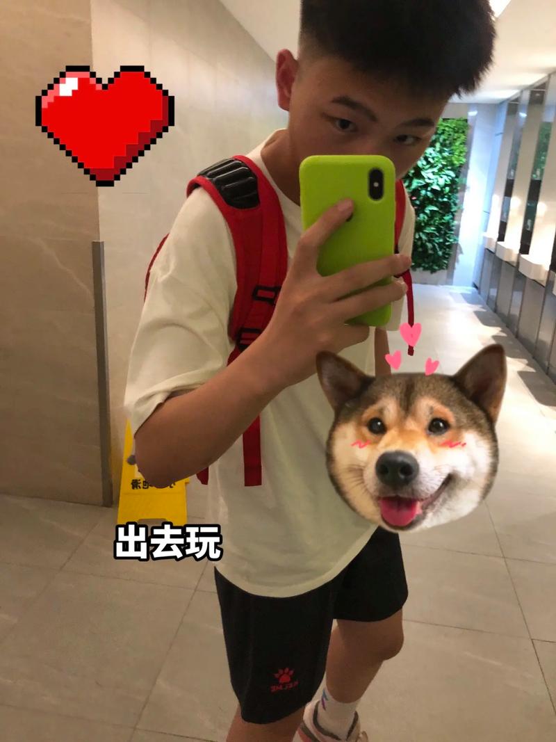 大学狂热:弟弟最爱的游戏类型及推荐,轻松上手!