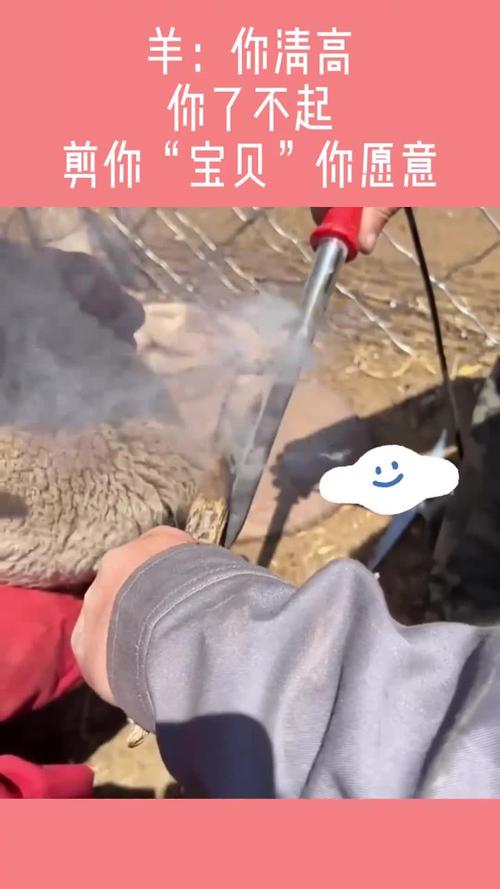 寻找剪羊羊？剪羊羊版本大全，满足你的所有需求！