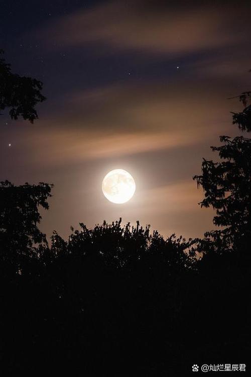 寻找月下40部？这里有你需要的下载地址