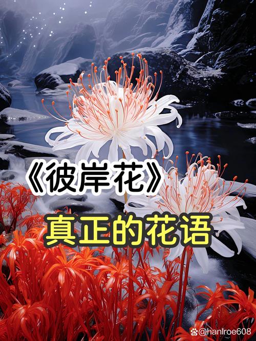 彼岸花在哪下载?安卓苹果版下载地址大全