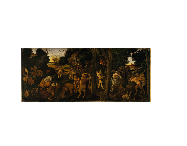 极致的狩猎：一场视觉盛宴的狩猎之旅