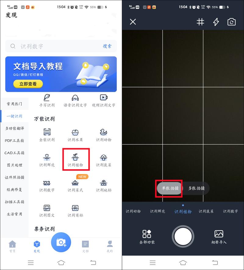 植物扫一扫识别神器推荐：快速准确识别植物名称