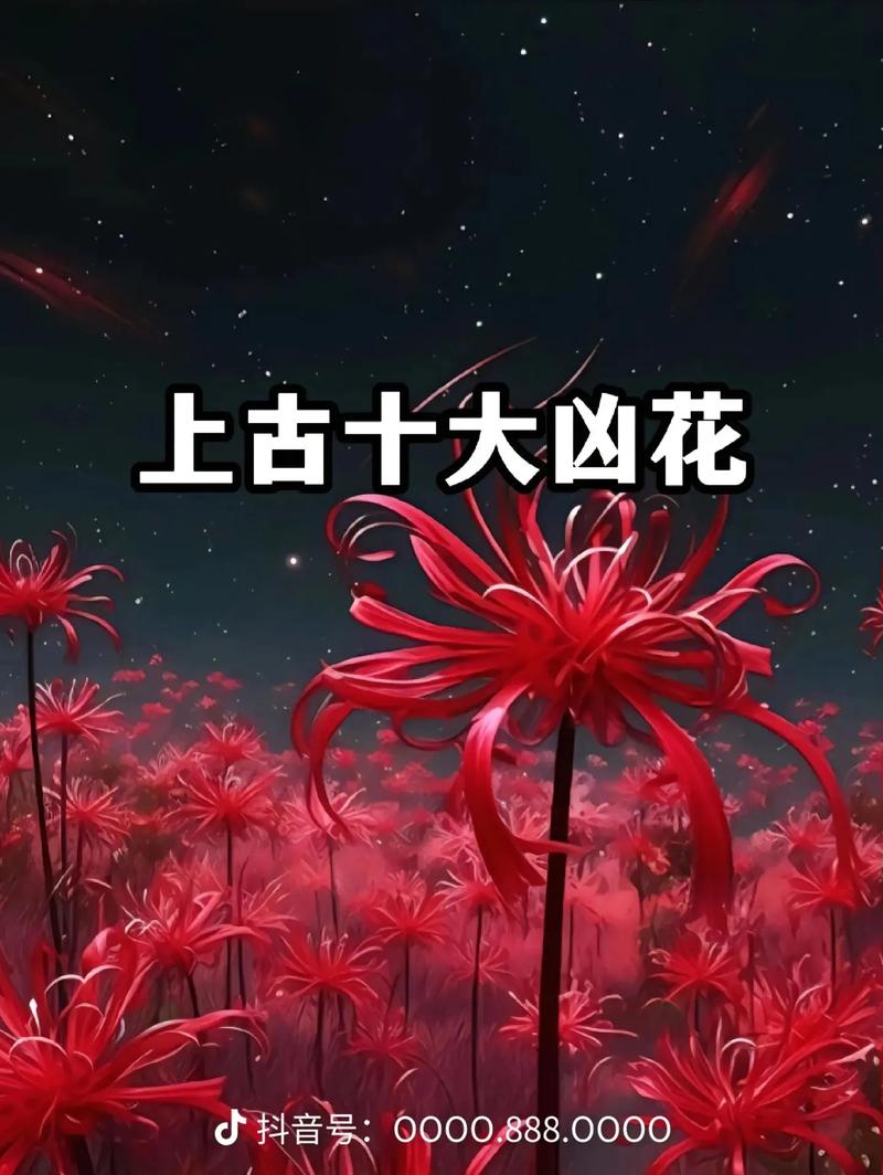 彼岸花在哪下载?安卓苹果版下载地址大全