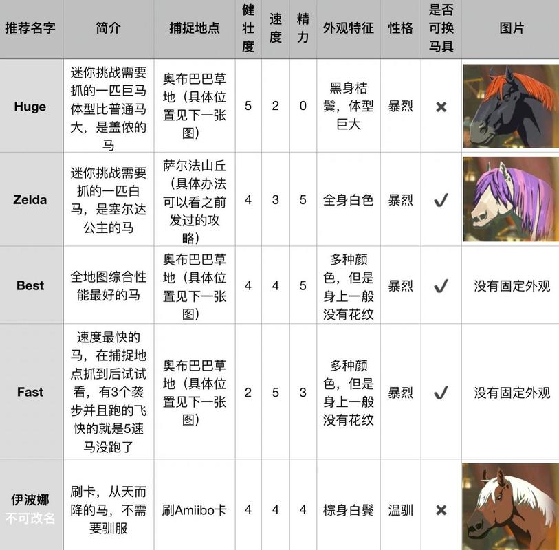 塞尔达传说四种特殊马图鉴：外观属性大揭秘