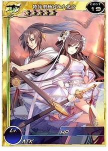 杨过游戏:少女之剑与秘密协奏曲的魅力