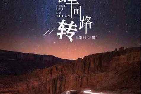 国内无法访问峰回路转论坛?教你如何下载汉化版