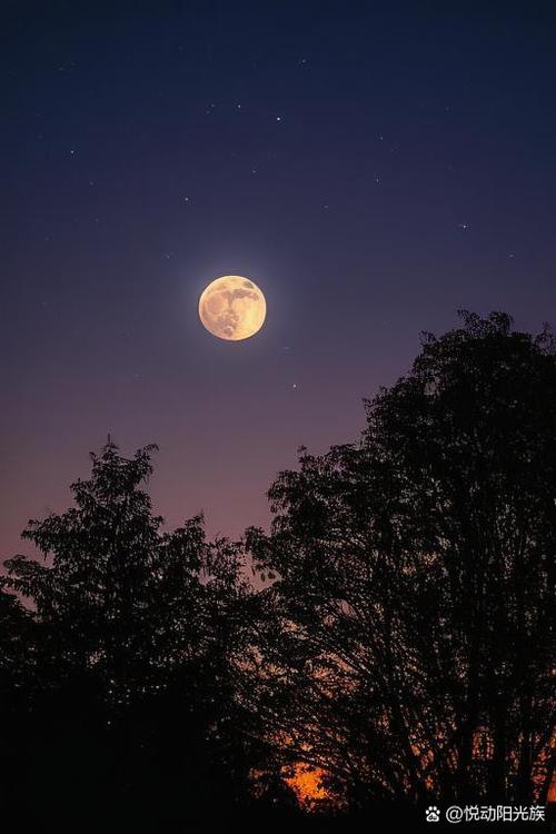 寻找月下40部？这里有你需要的下载地址