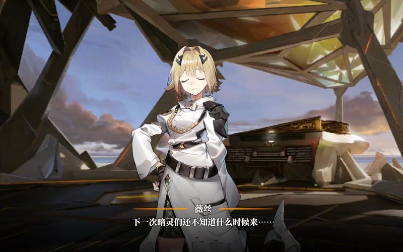 薇丝适合哪些人?看完这篇你就知道该不该买!