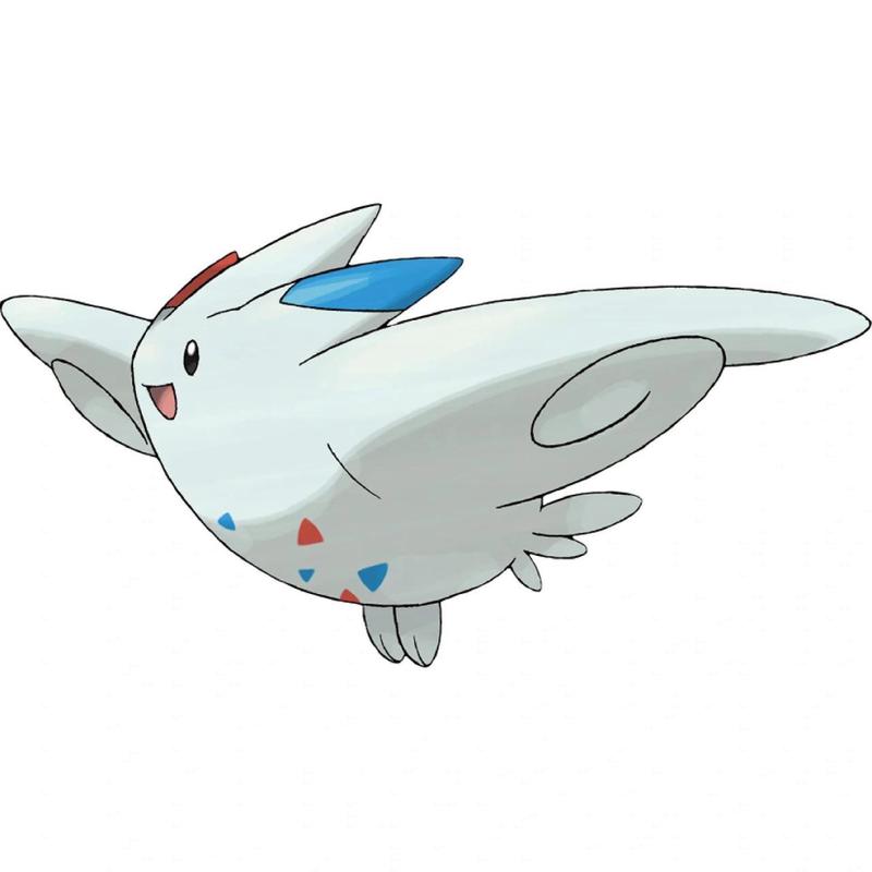 精灵宝可梦波克基斯:培养技巧与实战应用