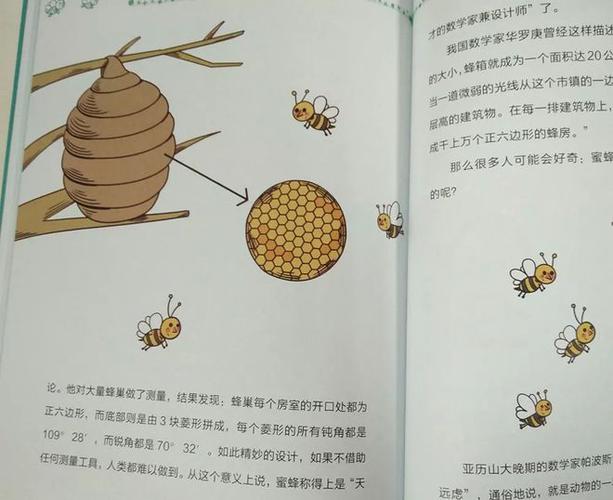 与熊论道靠谱吗？看完这篇你就明白了！