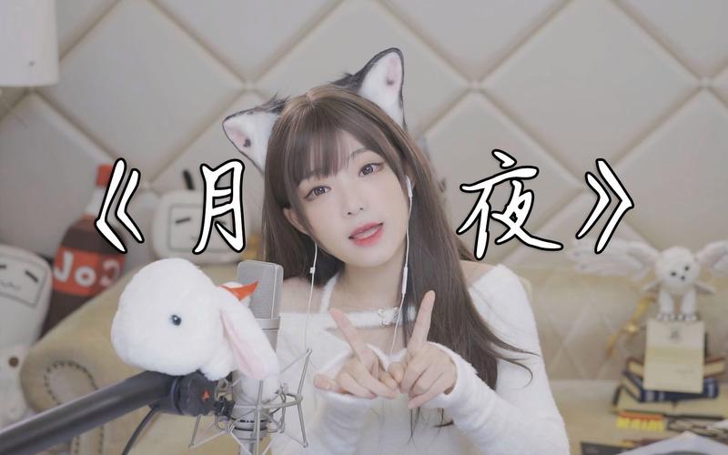 想看月夜直播？免费下载及在线观看指南！