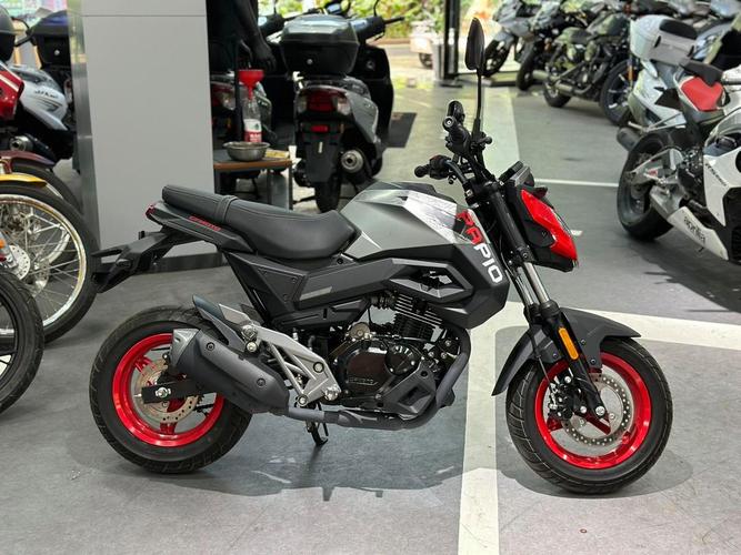 达摩狒狒哪里有卖?购买达摩狒狒就看这里!