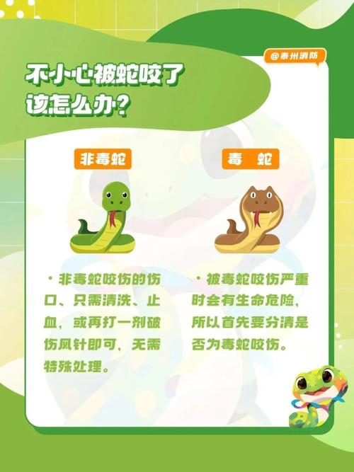 想知道九头蛇大行动?这几个关键点你必须了解!