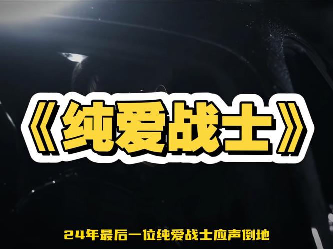 纯爱战士版本大全整理,各种版本任你选!