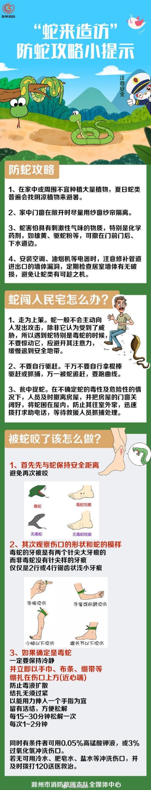 想知道九头蛇大行动?这几个关键点你必须了解!