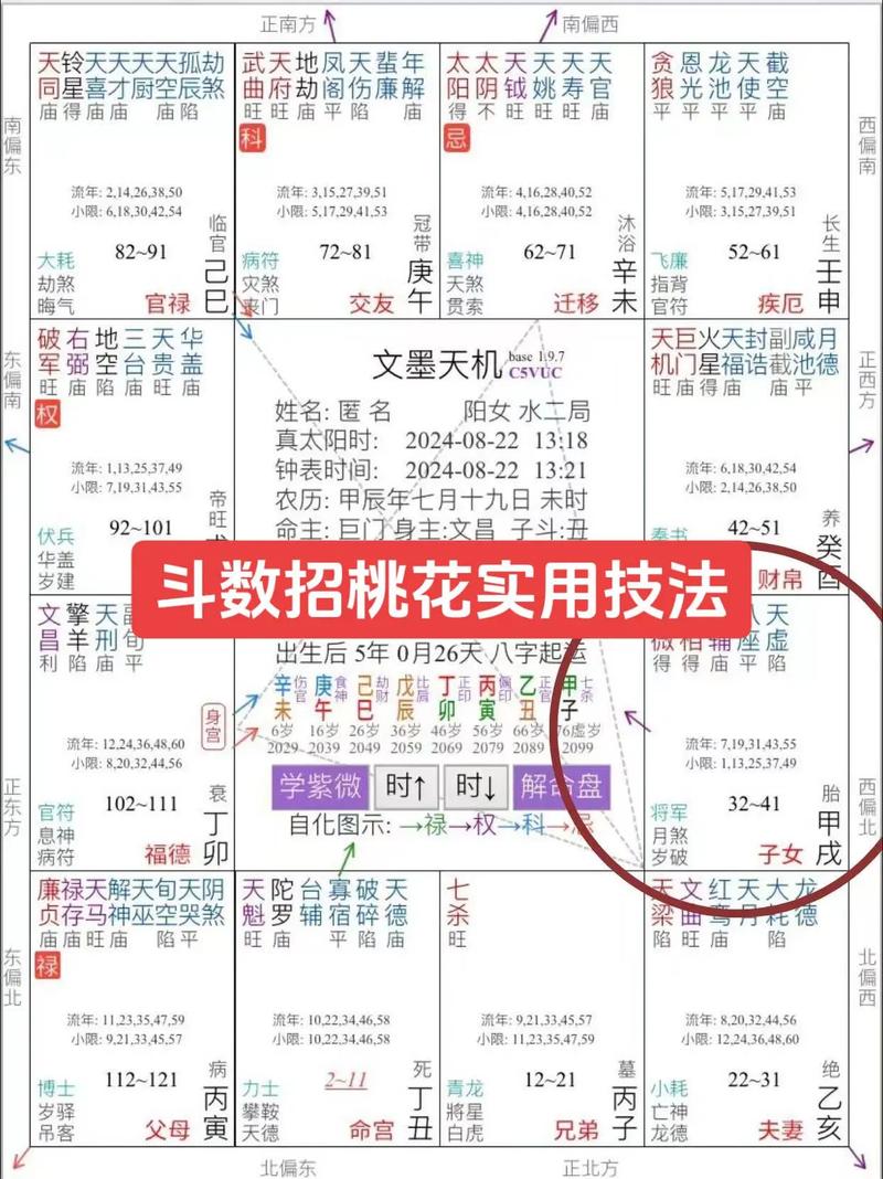 九阴真经桃花岛武学揭秘,招式搭配技巧分享!