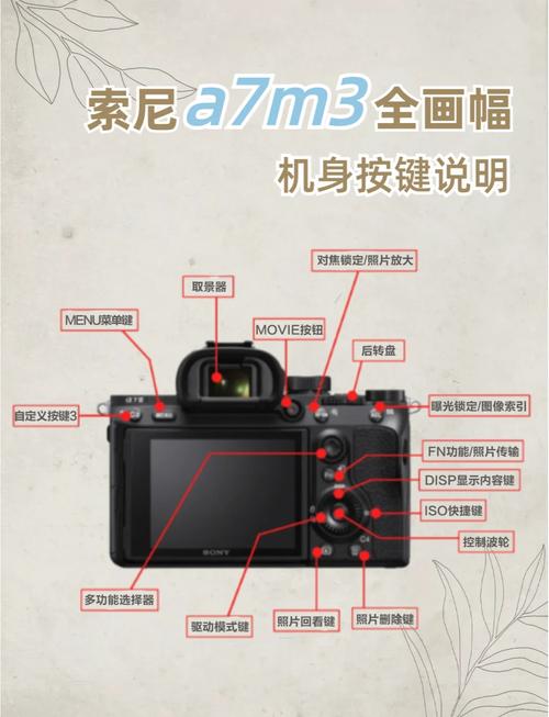 muviz edge是什么？一篇文章带你了解它的功能！