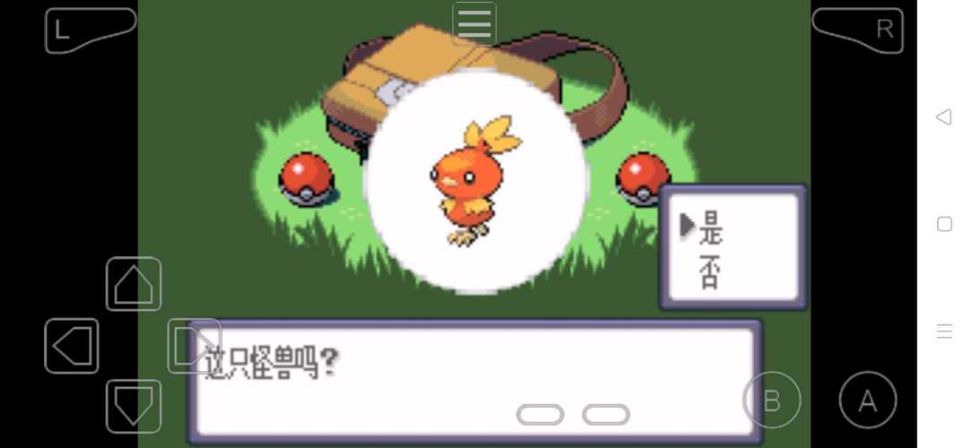 口袋妖怪绿宝石2.0下载，手机版详细安装教程！