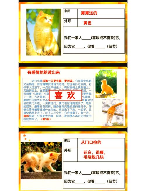捡到千年猫游戏介绍：萌猫养成，玩法都在这！