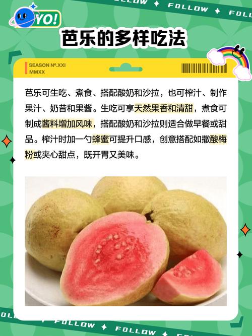 芭乐app功能详解:全面了解这款热门应用