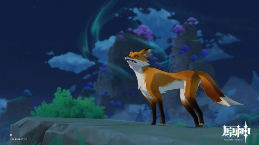 稻妻区域动物拍摄指南：四张照片怎么拍才好看？