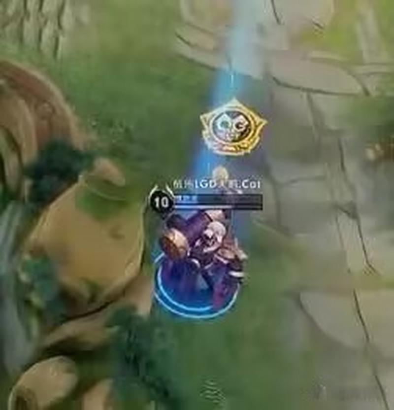 igvsqg有什么用？这篇文章给你讲透！