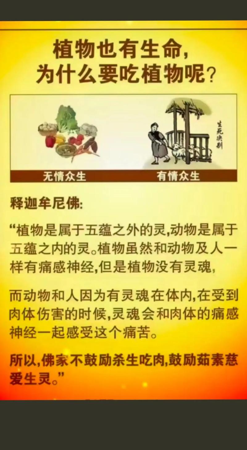 揭秘古代僧人不沾荤腥的真相,素食也能很健康!
