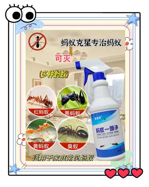 常吃苏打饼干蚂蚁怎么办？教你几招轻松解决！