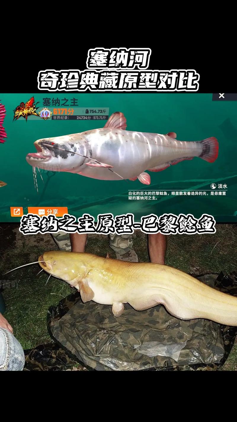 碧之轨迹钓鱼攻略：手把手教你成为钓鱼大师！