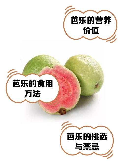 芭乐app功能详解:全面了解这款热门应用
