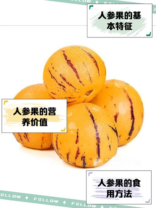 梦幻西游人参果价格贵吗?教你如何低价购买!