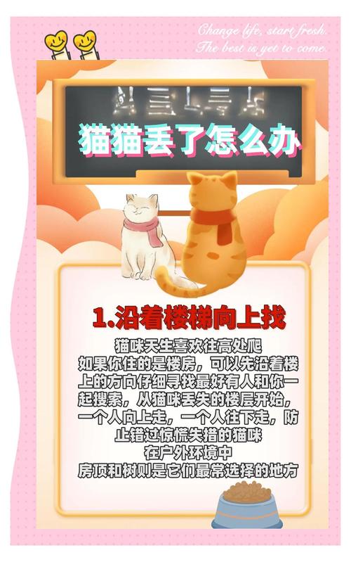 捡到千年猫更新地址在哪?超好玩游戏资源分享!