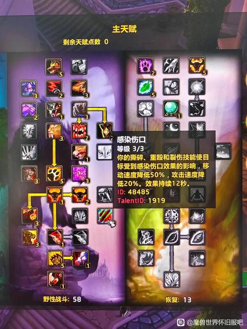 怀旧服神器:死神的意志,WLK物理系输出的巅峰!