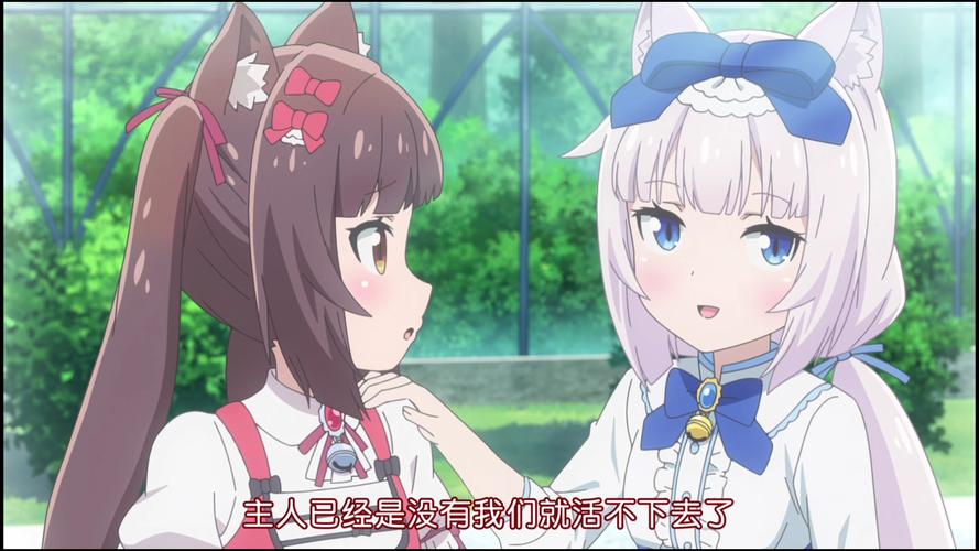 巧克力与香子兰:探秘人气动漫背后的故事