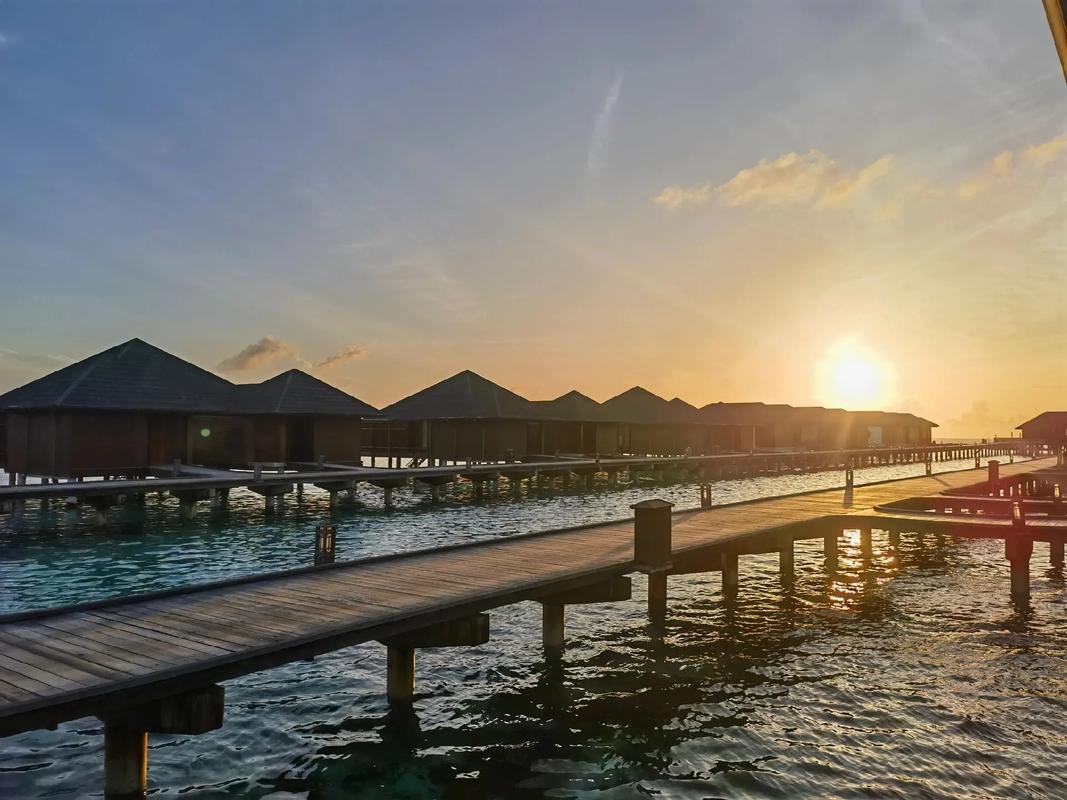 天堂岛资源网站推荐：高清流畅，随时随地想看就看！