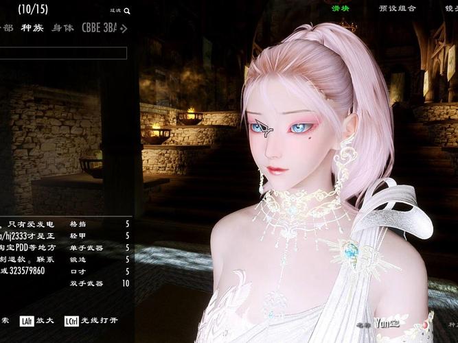 上古卷轴5种族选择指南:哪个种族最适合你?