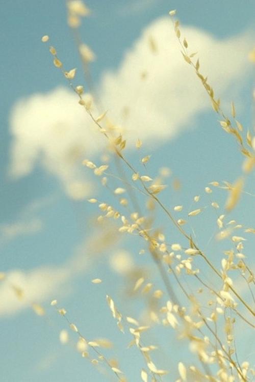 WP8桌面下载：安卓手机WP8风格桌面美化