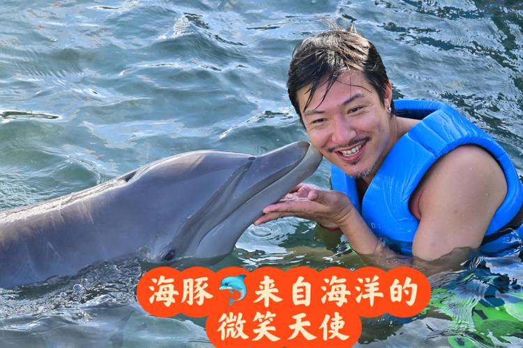 海豚秀：一场人与自然和谐的盛宴