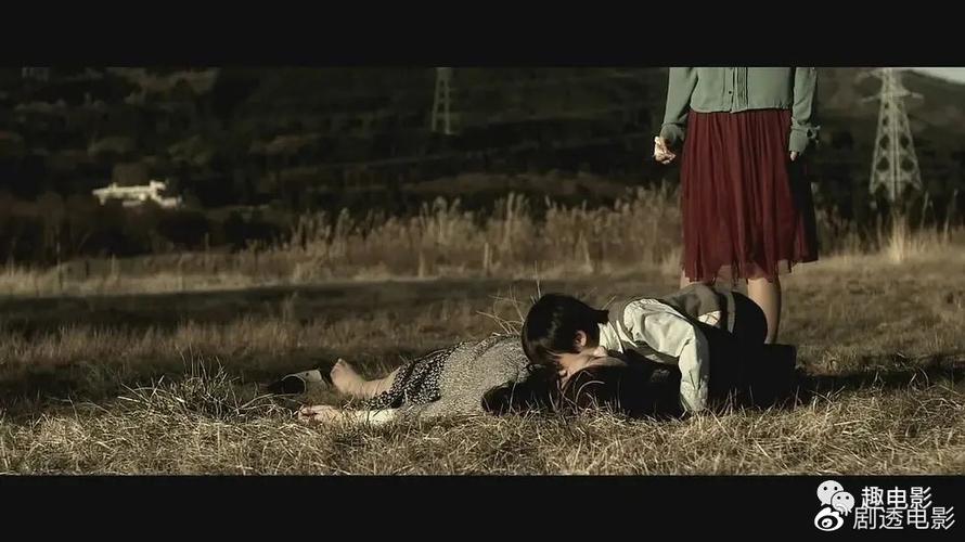 梦想岛中文小说推荐:有哪些值得一看的佳作?