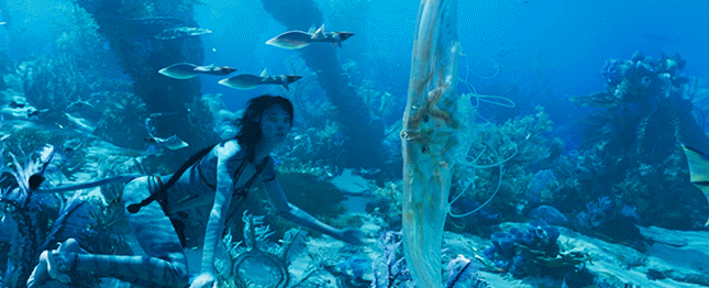 下载水族馆动态桌面壁纸：打造个性化手机屏幕