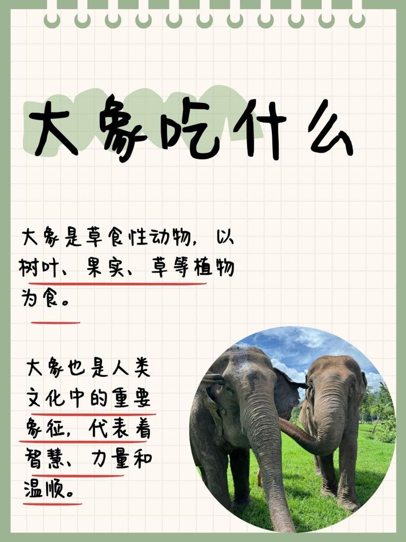 大象怕晒太阳吗?它们有哪些神奇的防晒方法?