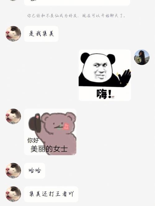 捡到千年猫下载失败?解决方法及下载途径