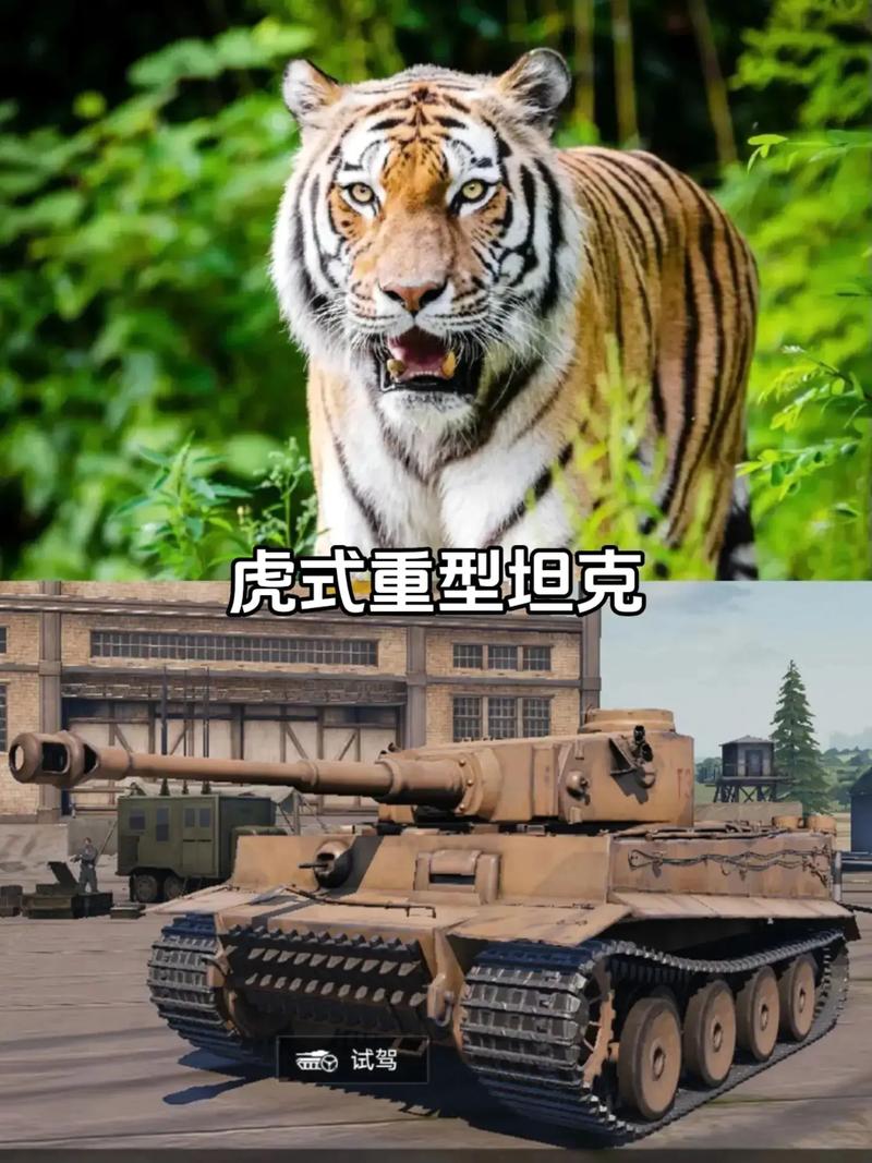 坦克世界虎王：新手入门指南及实战技巧详解